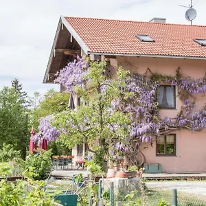 Beim Danner Bauernhof